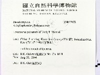 登錄號:F0017472藏品圖，第2張
