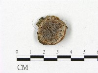 登錄號:F0017472藏品圖，第1張