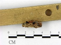 登錄號:F0017472藏品圖，第3張