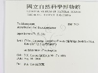 登錄號:F0017473藏品圖，第2張