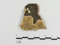登錄號:F0017473藏品圖，第1張