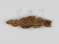 登錄號:F0017474藏品圖，第4張