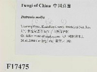 登錄號:F0017475藏品圖，第2張