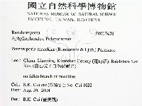 登錄號:F0017476藏品圖，第2張