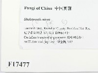 登錄號:F0017477藏品圖，第2張