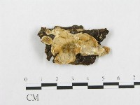 登錄號:F0017477藏品圖，第1張