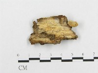 登錄號:F0017477藏品圖，第4張