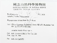 登錄號:F0017478藏品圖，第3張