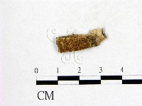 登錄號:F0017478藏品圖，第1張