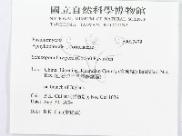 登錄號:F0017479藏品圖，第3張