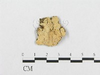 登錄號:F0017479藏品圖，第1張