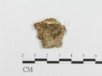 登錄號:F0017479藏品圖，第4張