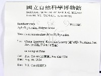 登錄號:F0017481藏品圖，第2張