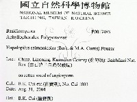 登錄號:F0017483藏品圖，第2張