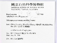 登錄號:F0017484藏品圖，第2張