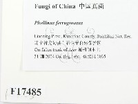 登錄號:F0017485藏品圖，第2張