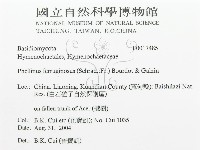 登錄號:F0017485藏品圖，第3張