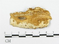 登錄號:F0017485藏品圖，第5張