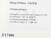 登錄號:F0017486藏品圖，第2張