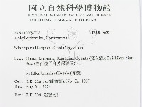 登錄號:F0017486藏品圖，第3張