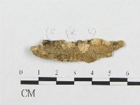 登錄號:F0017486藏品圖，第1張