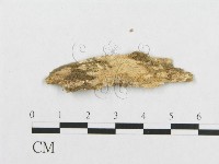 登錄號:F0017486藏品圖，第4張