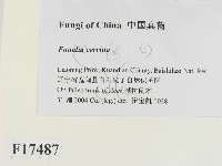 登錄號:F0017487藏品圖，第2張