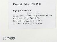 登錄號:F0017488藏品圖，第2張