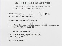 登錄號:F0017488藏品圖，第3張