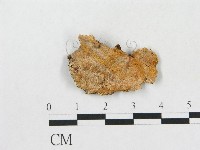 登錄號:F0017488藏品圖，第1張