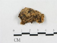 登錄號:F0017488藏品圖，第4張