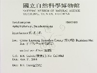 登錄號:F0017489藏品圖，第2張