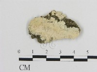 登錄號:F0017489藏品圖，第1張