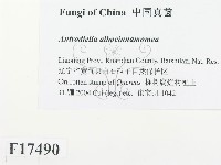 登錄號:F0017490藏品圖，第2張