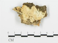 登錄號:F0017490藏品圖，第1張