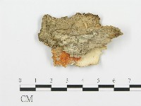 登錄號:F0017490藏品圖，第4張