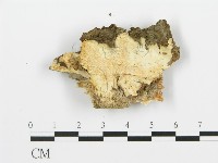 登錄號:F0017490藏品圖，第5張