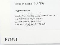 登錄號:F0017491藏品圖，第2張