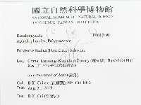登錄號:F0017491藏品圖，第3張