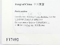 登錄號:F0017492藏品圖，第2張