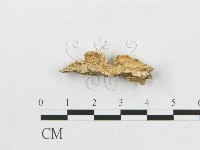 登錄號:F0017492藏品圖，第1張