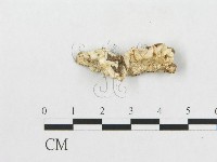 登錄號:F0017492藏品圖，第4張