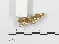 登錄號:F0017492藏品圖，第5張