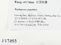 登錄號:F0017493藏品圖，第2張
