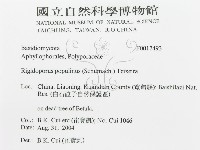 登錄號:F0017493藏品圖，第3張