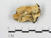 登錄號:F0017493藏品圖，第1張