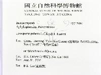登錄號:F0017494藏品圖，第2張