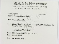 登錄號:F0017495藏品圖，第2張