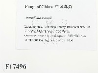登錄號:F0017496藏品圖，第2張