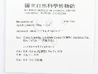 登錄號:F0017496藏品圖，第3張